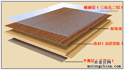 強化復合地板結構示意圖