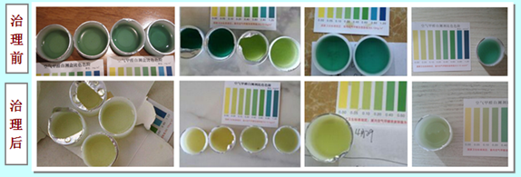 檢測(cè)結(jié)果